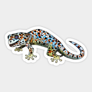 gecko Sticker